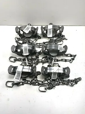 6 Duke #1 Coil Spring Traps (Trapping Supplies Raccoon Mink Muskrat Nuisance) • $42.92