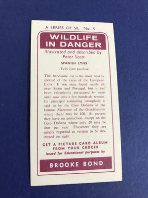 £2.50 • Buy Brooke Bond Rhodesian Red Back 1964 Wildlife In Danger