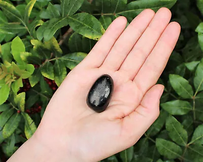 1 X Jet Tumbled Stone (Crystal Healing Reiki Gemstone Metaphysical) • $6.90