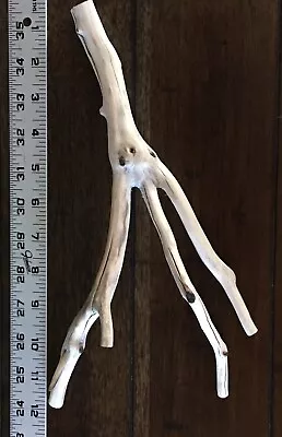 12” Manzanita Branch For  Aquarium  Reptile Terrarium Bird Perch Driftwood • $30