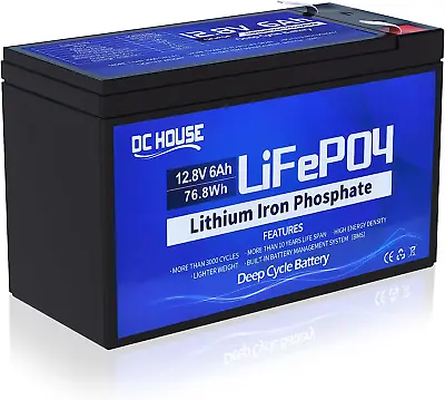 12V 6Ah Rechargeable Lifepo4 Lithium Iron Phosphate Battery With 3000+ Times Dee • $29.99