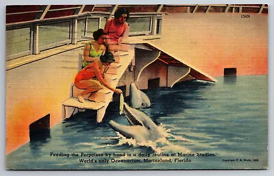 Vintage Postcard FL Marineland Porpoises Pretty Girls Linen C1940 ~8858 • $1.85