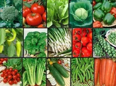 Vegetable FAVORITES Garden Lot ~ 15 Varieties ~ Over 1625 Fresh Seeds ~ NON GMO • $16.75