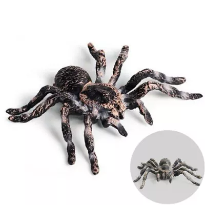 Halloween Spider Toy Insect Realistic Large Fake Props 2pcs Plastic Realistic • £5.60