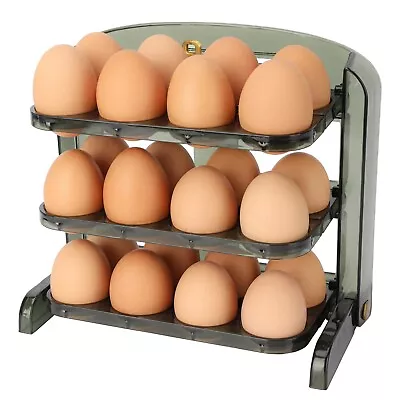 Refrigerator Egg Storage Box For 24 Eggs • £13.99