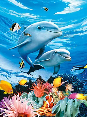 DOLPHINS AND MARINE LIFE - 3D LENTICULAR DOLPHIN PICTURE 300mm X 400mm (NEW) • £7.95