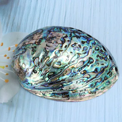 Natural Abalone Shell Smudging Bowl Incense Burner For Meditation & Cleansing • £16.45