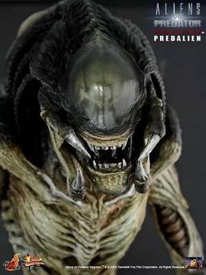 Hot Toys 1/6 Aliens Vs Predator Requiem  PREDALIEN  MMS55 Rare! • $1000