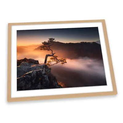 Bonsai Tree Sunrise Mountains Morning FRAMED ART PRINT Picture Artwork • £22.99