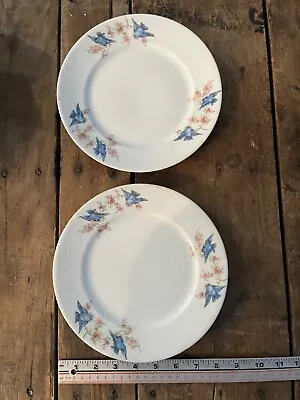 Two (2) Semi Porcelain Antique Bluebird Dinner Plate 9  • $38