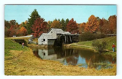 Meadows Of Dan VA Mabry Mill Postcard Posted 1954 Water Wheel Mabry Mill RD Pc85 • $6