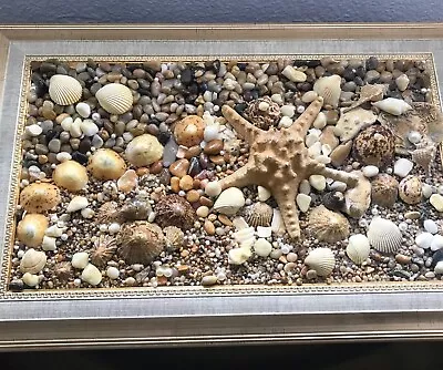 Unique Handmade Framed Picture From Real Sea Shells/Starfish/Stones 50x32x6cm • £18.99