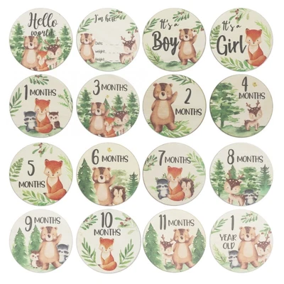 Baby Milestone Cards Hello-World Newborn Sign Wood Milestone Discs Newborn Gift • $15.84