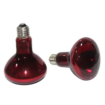 2 Pack 100W Reptile Heating Bulbs Amphibian Infrared Sunbulbs Repti7250 • £9.91