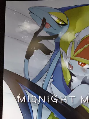 POKEMON Doujinshi Cinderace X Inteleon (B5 20pages) Sabamiso Midnight Monster • $39.99