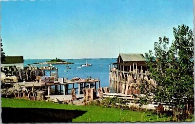 Harbor & Wharfs Beale's Island Maine Vintage Chrome Postcard A99 • $4.50