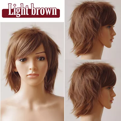 US Men Male Short Full Wigs Boys Anime Cosplay Costume Party Synthetic Hair Wig • $15.58