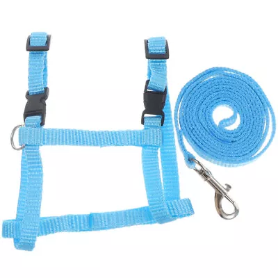 Rabbit Harness Set- Adjustable Leash And Accessories • $8.83