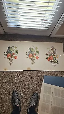 Jean Louis Prevost Vintage Botanical Art 5 Prints • $8.99