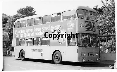 Bournemouth Yellow Buses MFX170W Leyland Fleetline B&W Bus Photo • £1.15