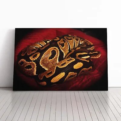 Python Snake 4 Canvas Wall Art Print Framed Picture Decor Living Room Bedroom • $31.02