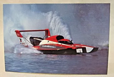 1989 BUDWEISER Promo Color Card Picture Print Hydroplane Boat Racing • $12.99