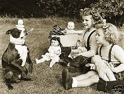 Boston Terrier Dog Children Girls Dolls Vintage Mid-century Era Canvas Photo Art • $29.60