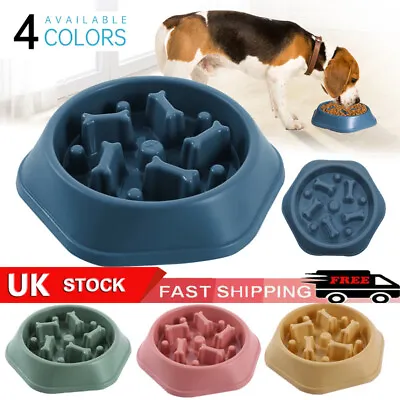 £3.39 • Buy Puppy Slow Feeder Dog Bowl Anti Bloat No Gulp Pet Cat Interactive Feeding Dish 1