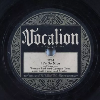 Blues 78 TAMPA RED & GEORGIA TOM It's So Nice VOCALION 1294 HEAR 436 • $8