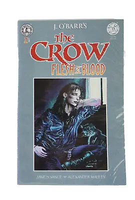 J. O'Barr's The Crow: Flesh And Blood #2 Kitchen Sink Comix • $14.95