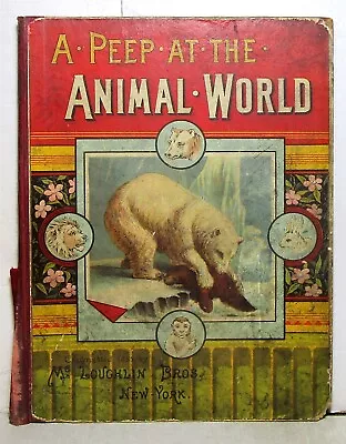 1885 A Peep At The Animal World McLoughlin Bros. Colored Illustrations • $24.95