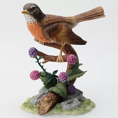 Maruri ROBIN With BLACKBERRY Porcelain Bird Figurine - Songbird Serenade • $47.95