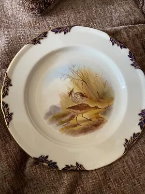£30 • Buy Royal Worcester Game Birds Vitreous Plate Signed George Johnson Ruff Bird