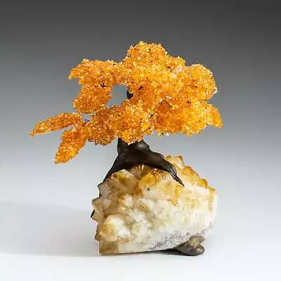 Large Citrine Clustered Gemstone Tree On Citrine Matrix (The Money Tree) • $79.99