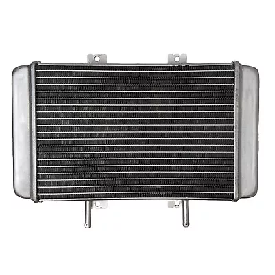 Radiator For Buyang Feishen 300cc D300 ATV  Quad • $59.97