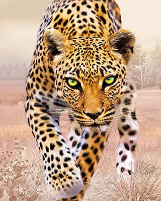 LEOPARD ON THE PROWL - 3D LEOPARD PICTURE 300mm X 400mm • £7.95