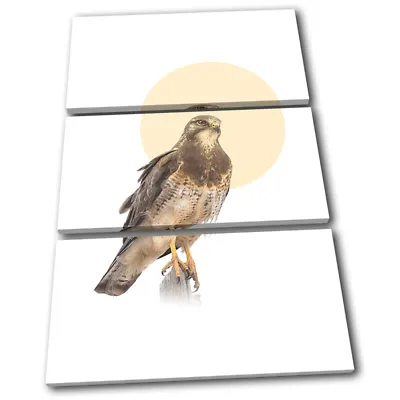 Falcon Bird Of Prey Modern Animals TREBLE CANVAS WALL ART Picture Print • £34.99