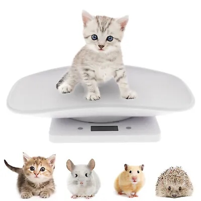 $31.71 • Buy 10KG Capacity Digital Newborn Animal Scale LCD Display Pet Dog Weighting Scale