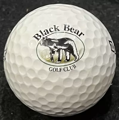 Black Bear Golf Club Logo Golf Ball Myrtle Beach SC Closed Course • $10.99