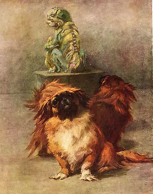 PEKINGESE DOG CHARMING IMAGE OLD 1934 COLOUR ART PRINT By MAUD EARL • $16.16