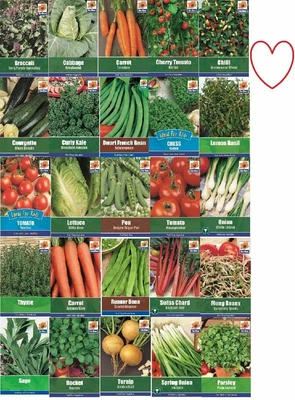 £0.99 • Buy Herbs Vegetable Seeds Seed Veg Grow Plant Garden House