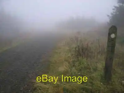 £2 • Buy Photo 6x4 Misty Forest Treherbert A Marker Post - Missing Many Of Its Mar C2008