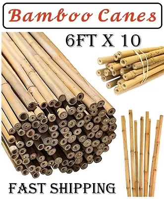 10 X 6FT Bamboo Canes Heavy Duty Garden Stake Strong Thick Support Plant Stick  • £12.99