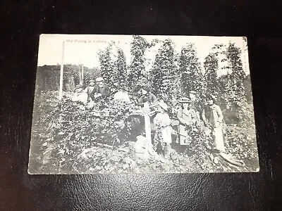 Hop Picking Scene LEDBURY Herefordshire • £8.99