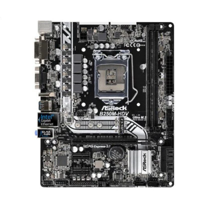 ASRock B250M-HDV Motherboard Board LGA1151 DDR4 32G Micro ATX Mainboard • $89.42