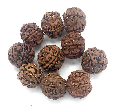 15-17mm Natural Brown Rudraksha Round Seed Buddhist Mala Meditation Beads (10) • $5.99