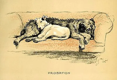 £2.99 • Buy Cecil Aldin Dog Print Cracker Bull Terrier Micky Irish Wolfhound Hunting Farm 17