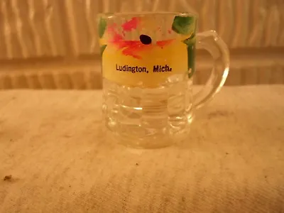 Ludington Mi Mich Michigan  Souvenir Shot Glass Or Mug • $19.99