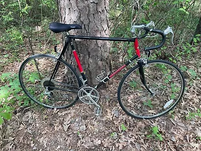 Vintage 1984 Kuwahara Duke Road Bike • $125