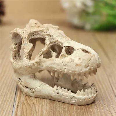 Aquarium Fish Tank T-Rex Dinosaur Skull Ornament Resin Decoration 8.5cm • £6.99